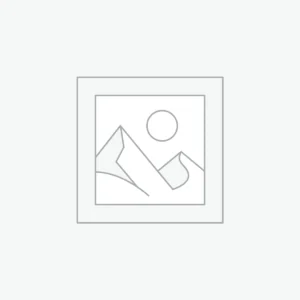 Store Boncellensis Secullant
